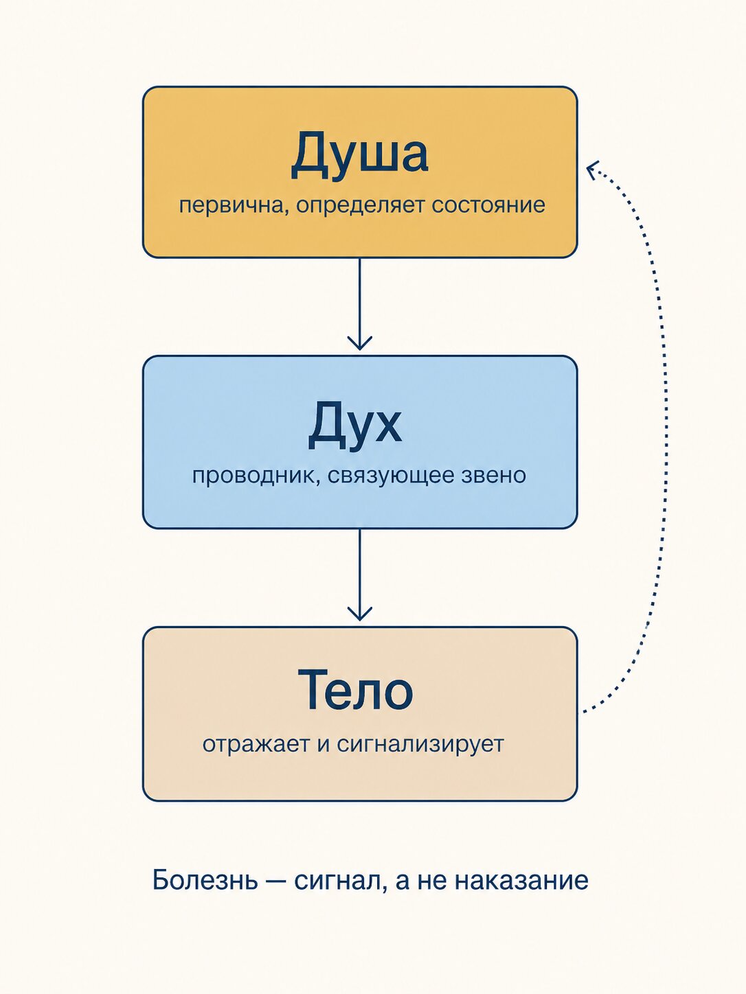 Инфографика иерархии души, духа и тела в эзотерике &mdash; душа первична, тело как сигнал