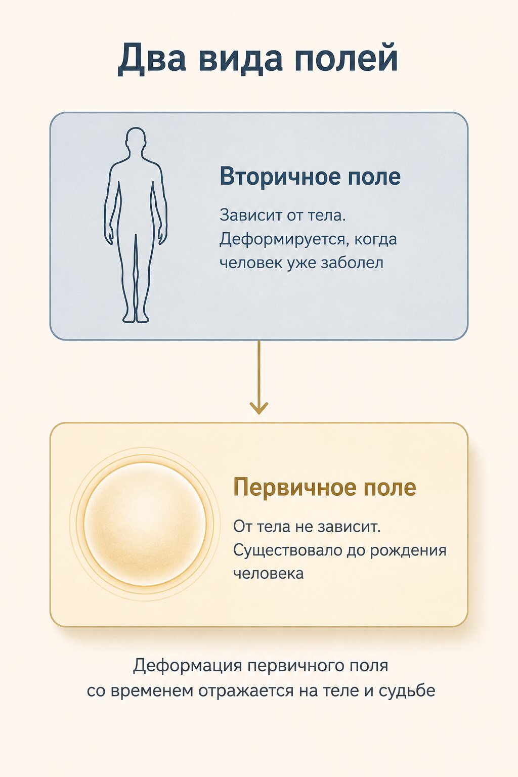 Инфографика: первичное и вторичное поле человека &mdash; в чём разница и суть ясновидения