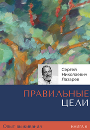 Опыт выживания. Книга 6. Правильные цели